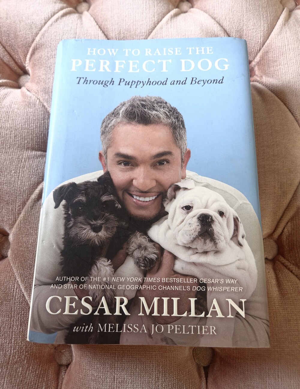 Cesar Milan: "How to Raise the Perfect Dog: Through Puppyhood & Beyond" Book